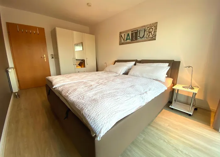 Seeschwalbe Schonberger Strand